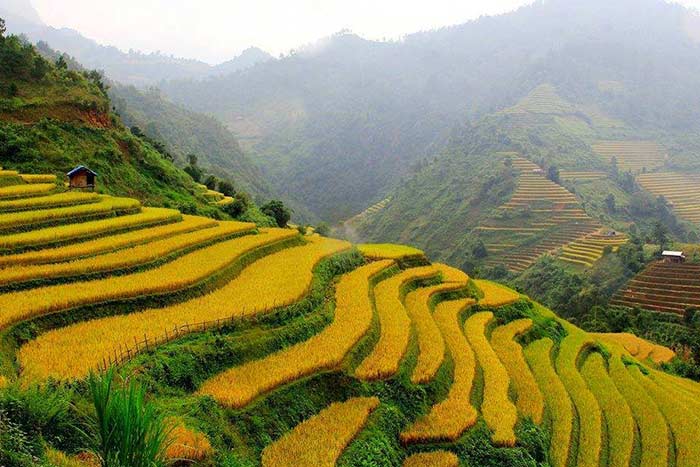 visit bac ha in 1, 2 or 3 days rice terraces